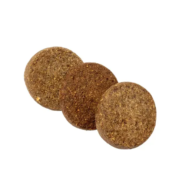 Gourmet Cookies - Salmon