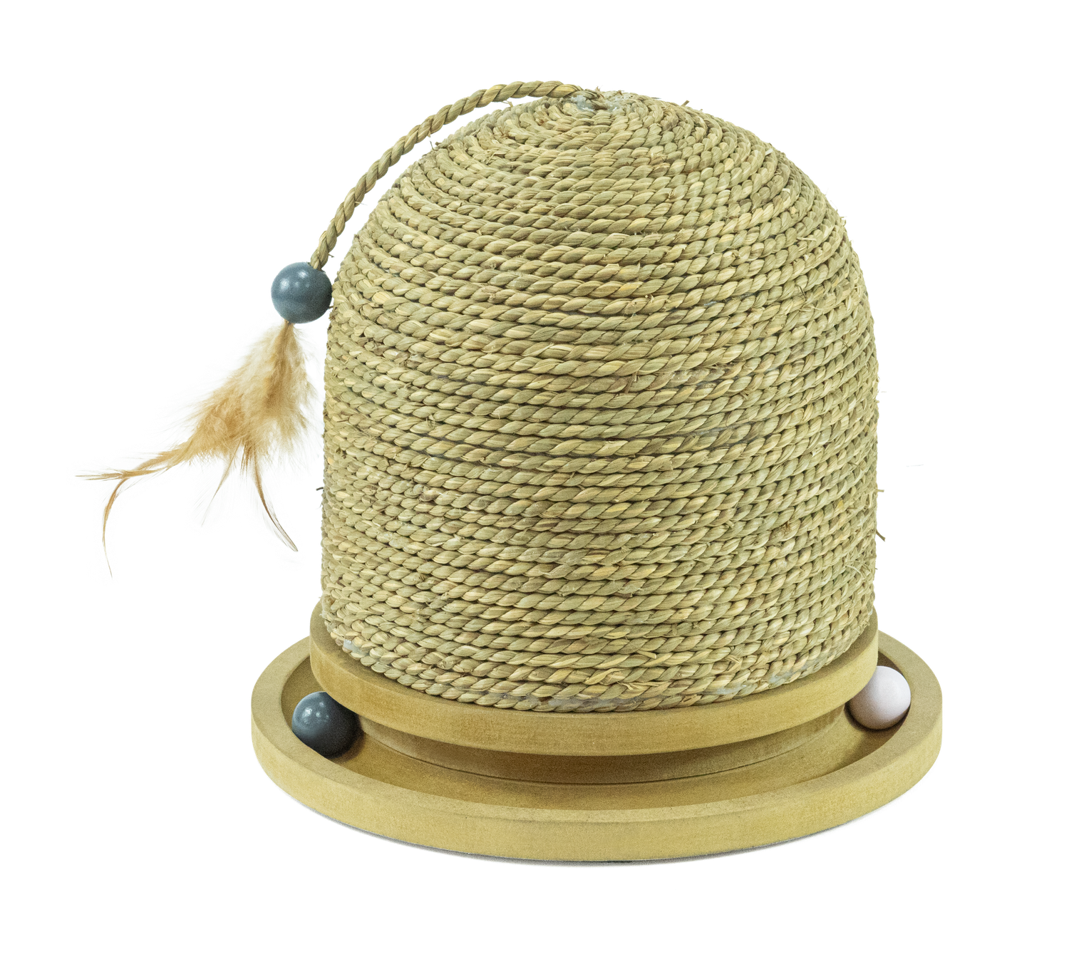 Cat Scratcher Oscar/Cone