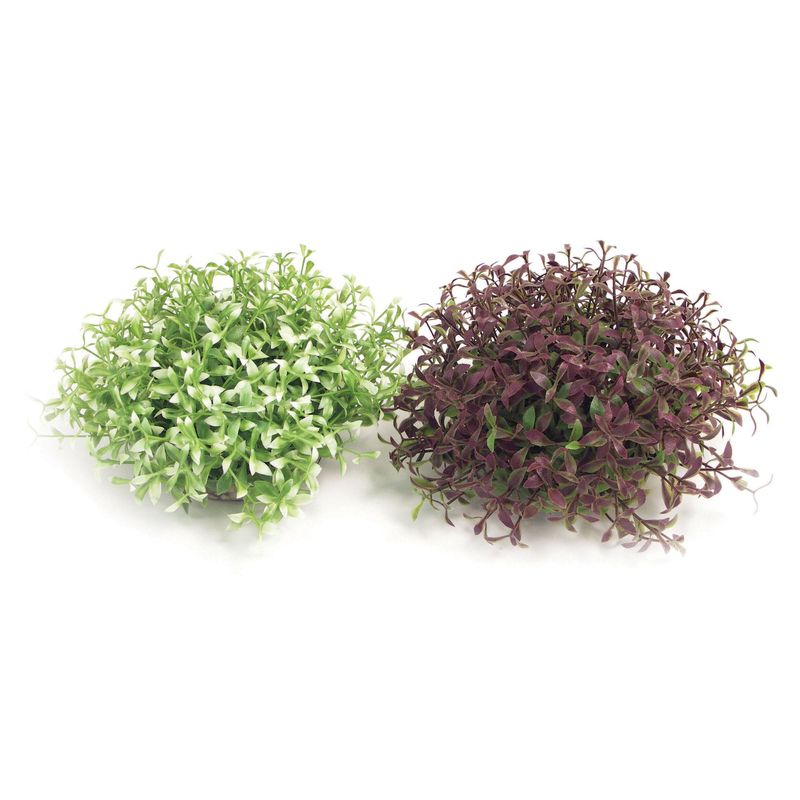 Rosewood Sydeco Water Ball