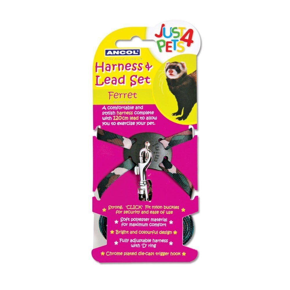 Ferret Harness & Lead