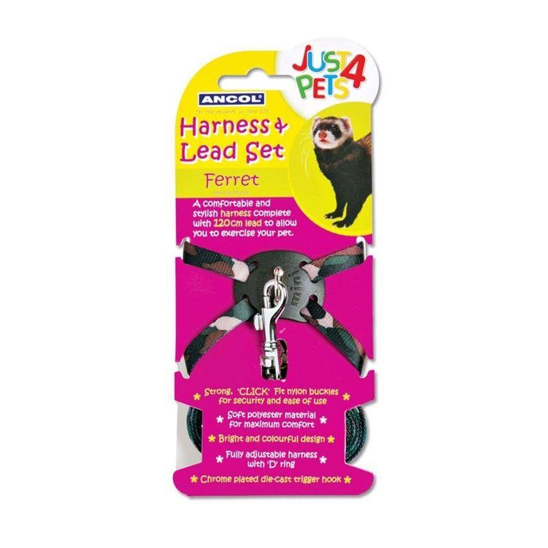 Ferret Harness & Lead
