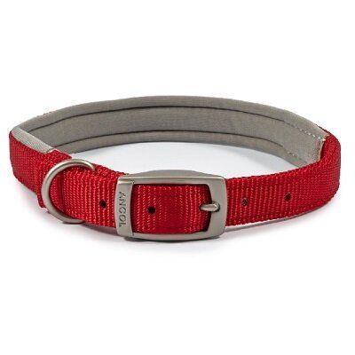 Ancol Viva Padded Buckle Collar Red 39-48cm Medium