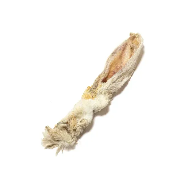 Hairy Rabbit Ears