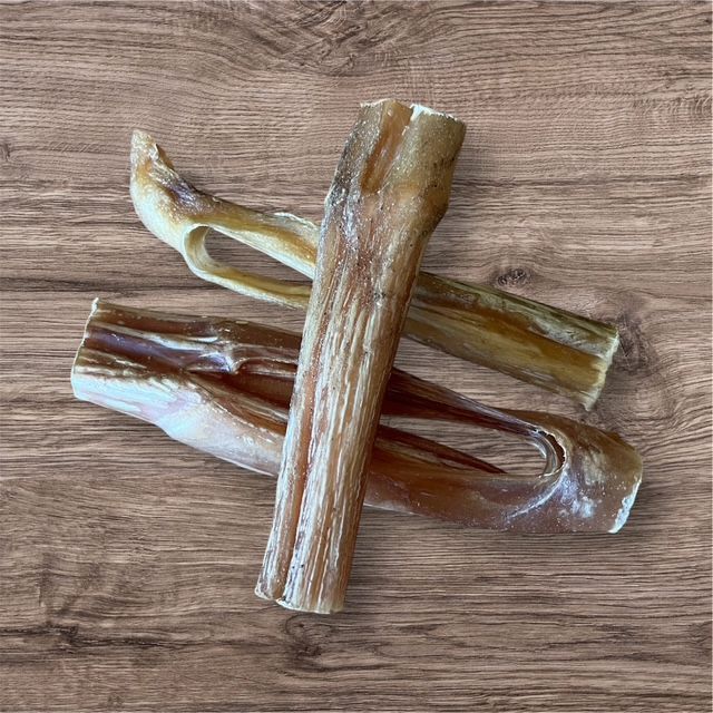 Bulls Pizzle Sticks x 3