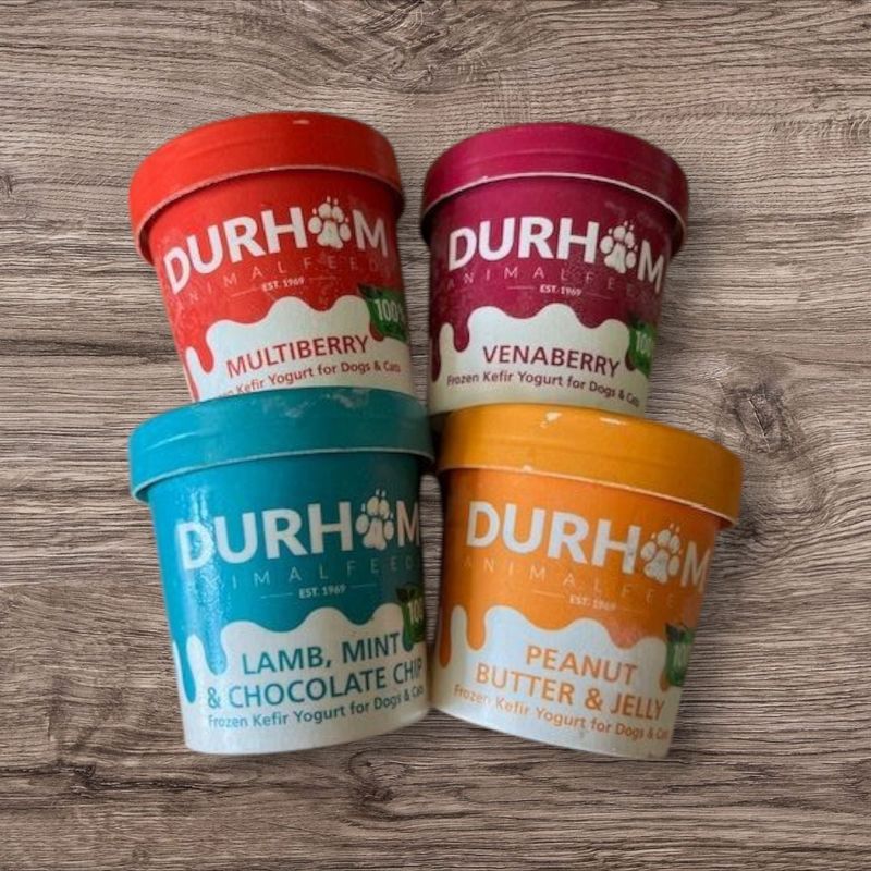 Organic Kefir Frozen Yoghurt