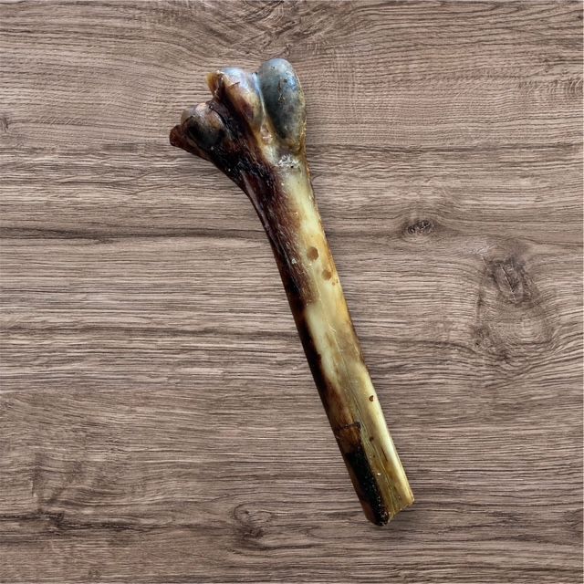 Ostrich Bone