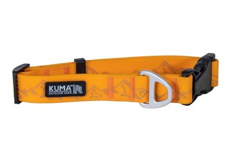 Kuma - Soggy Dog Collar, Small, Orange