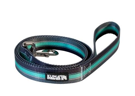 Kuma - Backtrack Dog Leash, Navy/Mint