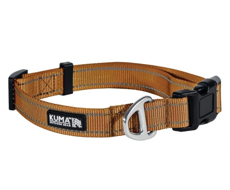 Kuma - Lazy Bear Dog Collar, Large 20-26", Sierra