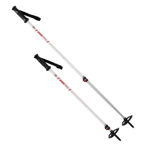MSR - Dynalock - Trail Poles