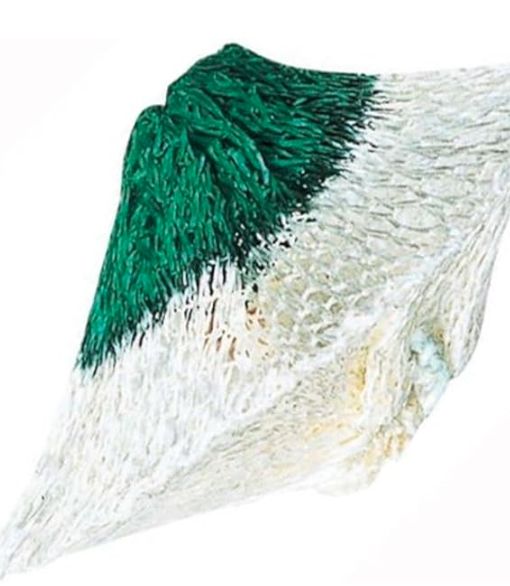 Coleman - Mantle #51, Slip on Rozette