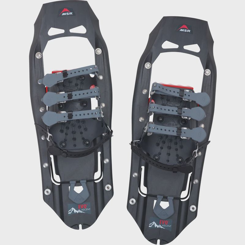 MSR - Evo Ascent 22, Stone Gray - Snowshoes