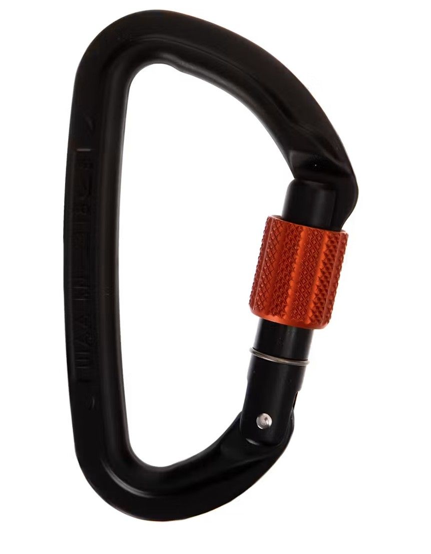 Wild Country - Session Screwgate Carabiner, Colour: Black/Tangerine