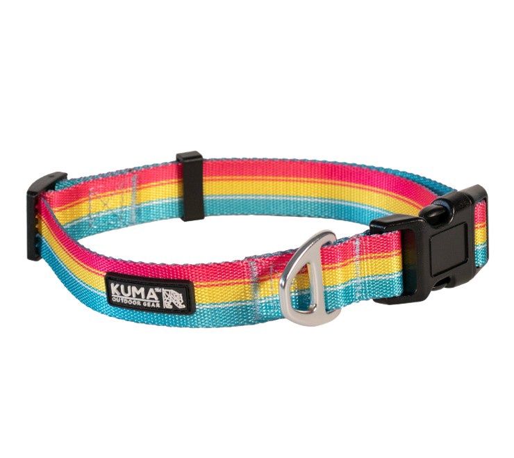 Kuma - Backtrack Dog Collar, Colour: Lollipop Yellow/Pink/Teal, Size: Large