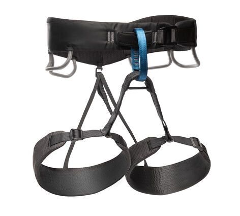 Black Diamond - Momentum Harness - Mens, Colour: Anthracite *disc*, Size: Large