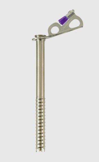 Black Diamond - Express Ice Screw, Size: 22cm*