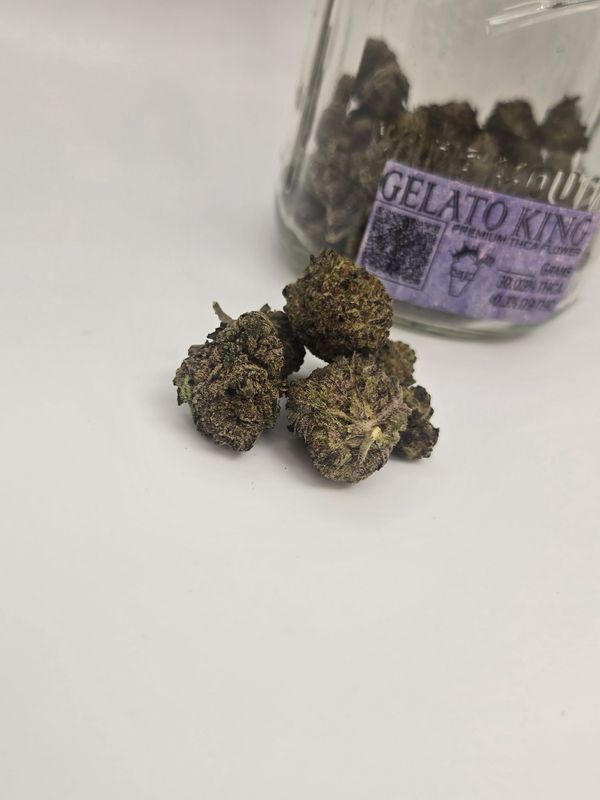 1G Gelato King
