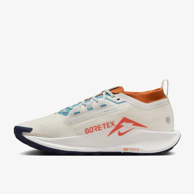 Nike Pegasus Trail 5 GTX
