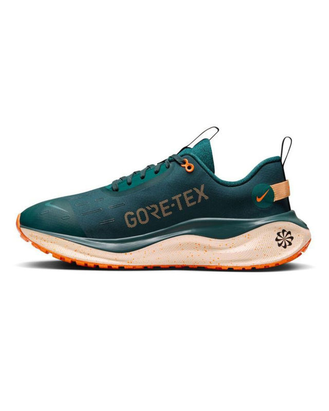 Nike React Infinity Run 4 GORETEX