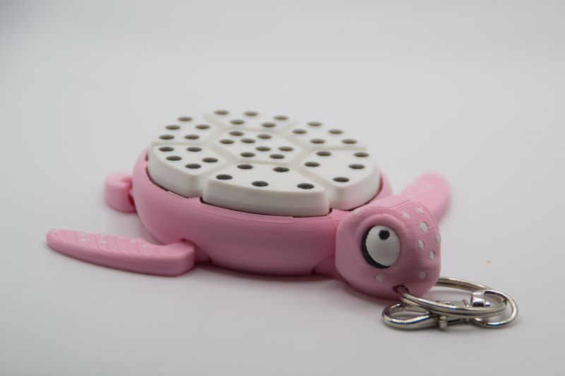 Schildpad Clicker "Dragonfruit"