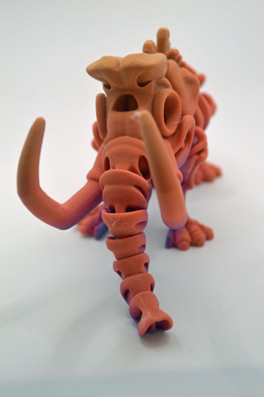 Flexible Skeleton Mammoet