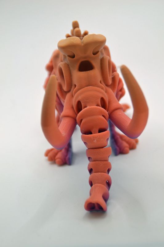Flexible Skeleton Mammoet