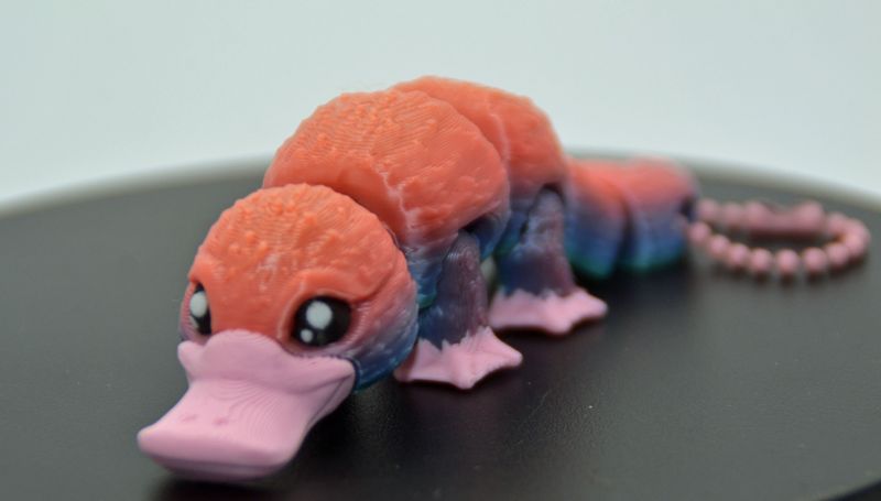 Platypus Sleutelhanger