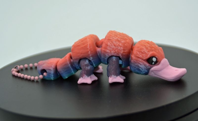 Platypus Sleutelhanger