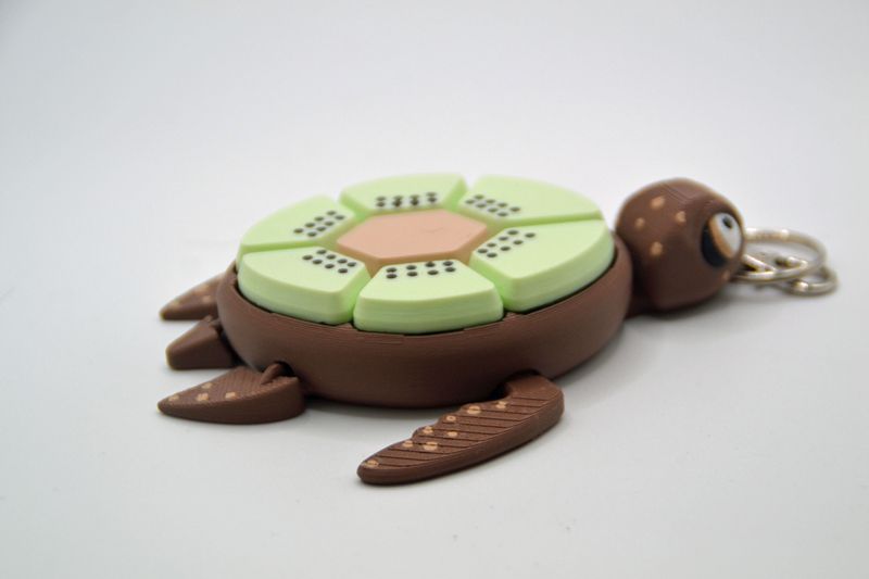 Schildpad Clicker Sleutelhanger "Kiwi"