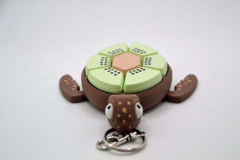 Schildpad Clicker Sleutelhanger "Kiwi"