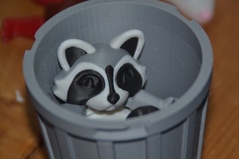 Trashcan animal Willie de wasbeer