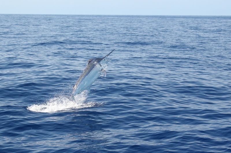 All Inclusive Fishing Package