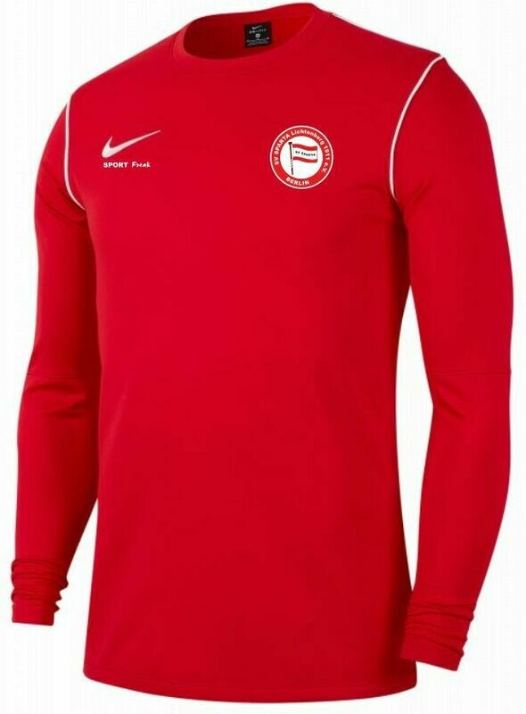 Nike Sweat-Shirt Park 20 Erwachsene SV Sparta Lichtenberg
