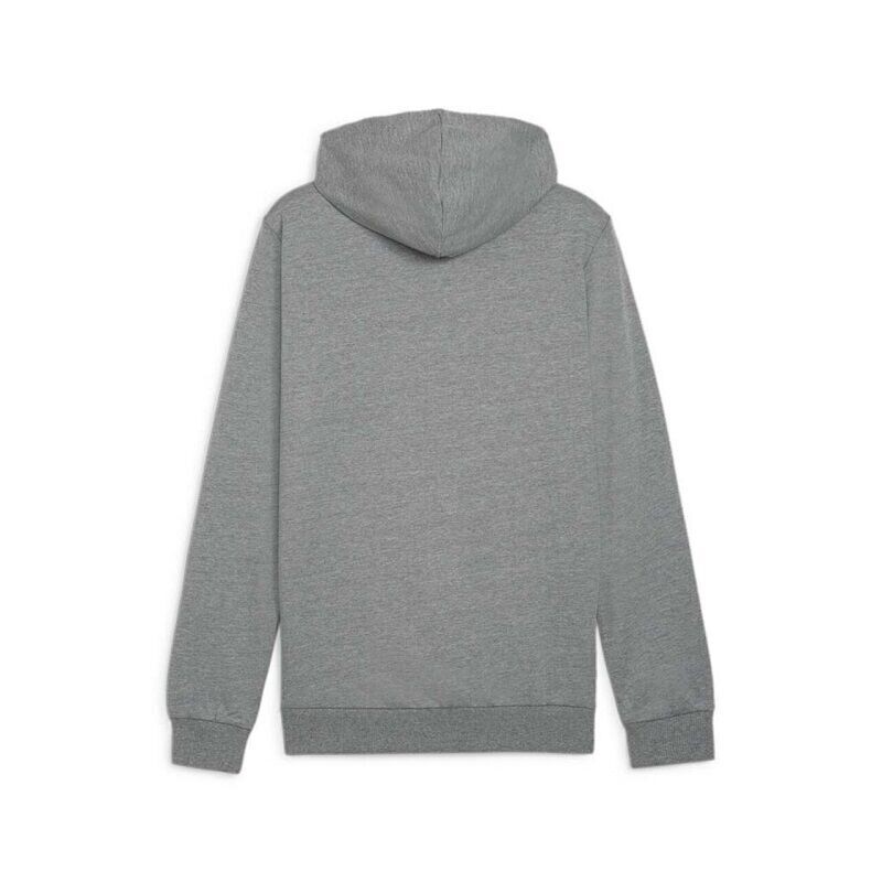 Puma Team Goal Casual Hoody