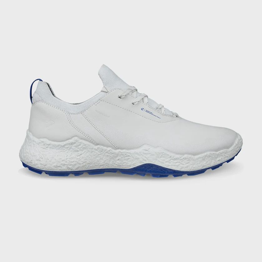 Ecco H5 shoe