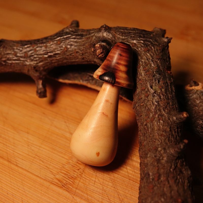 mushroom light pull/Blind pull