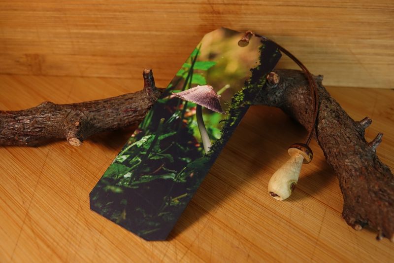 Mushroom Photo bookmark