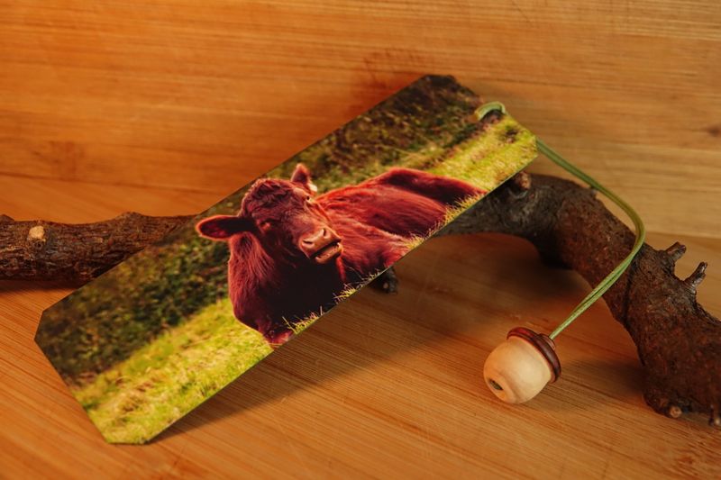 Cow Photo bookmark