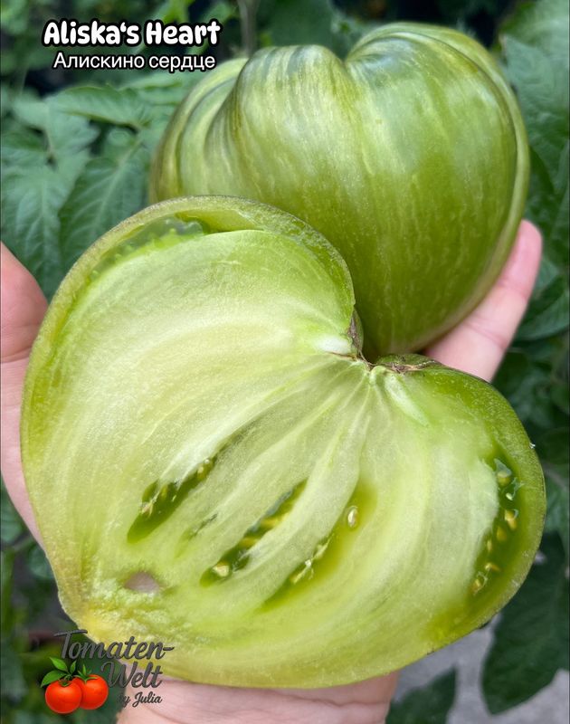 Aliska`s Heart / Алискино Сердце F6