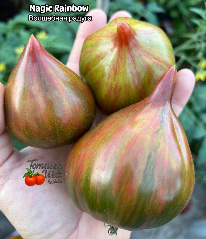 Magic Rainbow /Волшебная Радуга F6