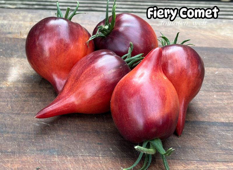 Sofia`s Fiery Comet / Огненная Комета Софии F7