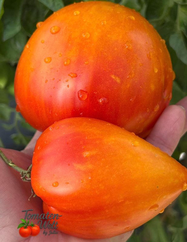 Amber Baron / Янтарный барон