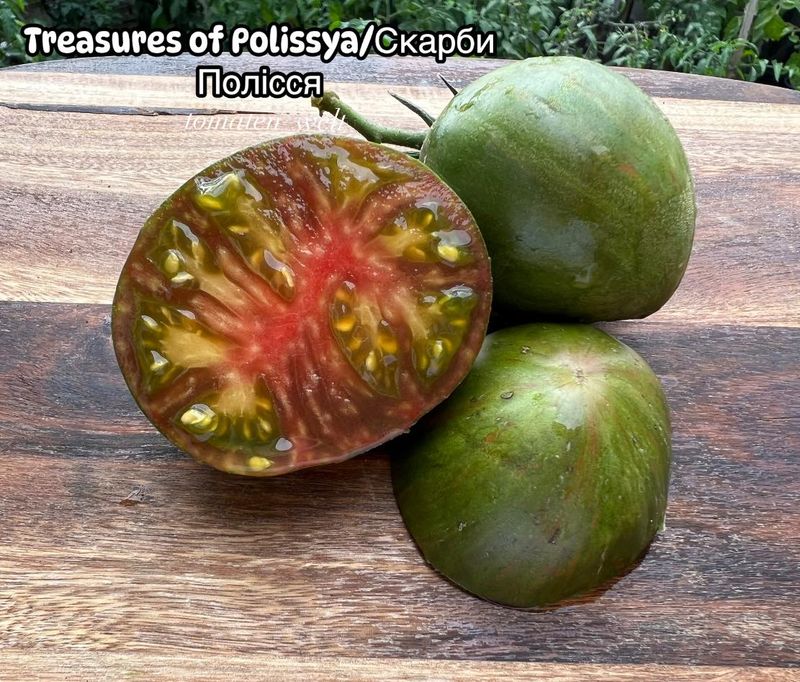 Treasures of Polissya