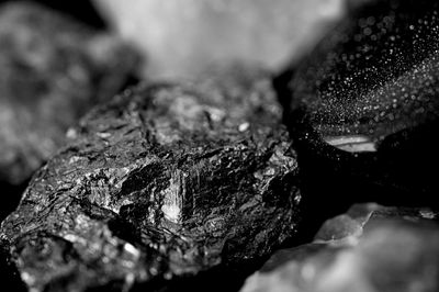 Anillos