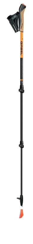 Gabel Carbon XT 3S 100 (Pair)