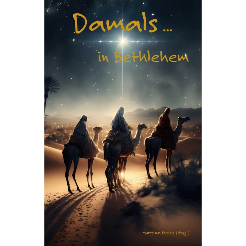 Bd. 2 Damals ... in Bethlehem