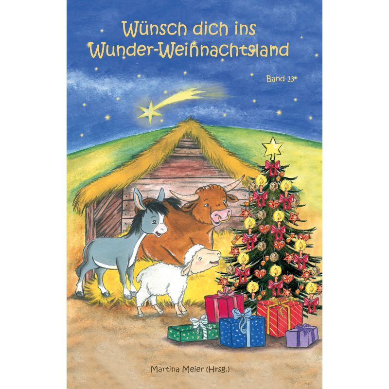 Bd. 13 Wünsch dich ins Wunder-Weihnachtsland