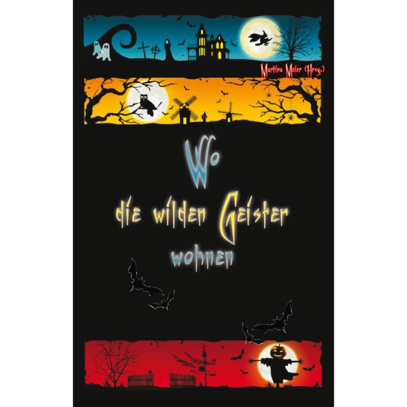 Bd. 1 Wo die wilden Geister wohnen