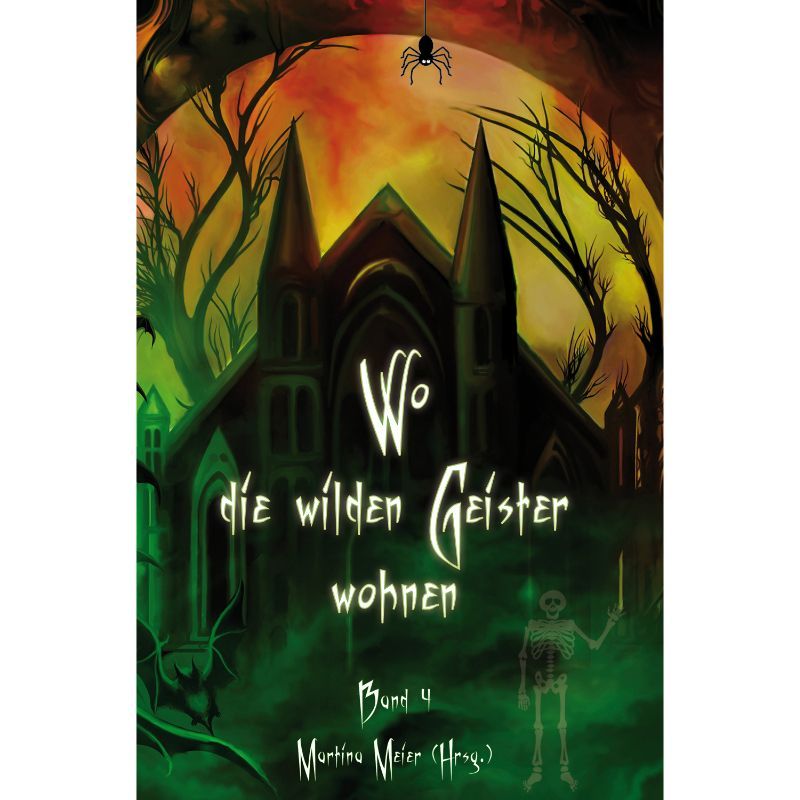 Bd. 4 Wo die wilden Geister wohnen