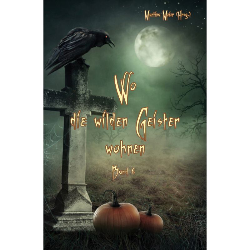 Bd. 6 Wo die wilden Geister wohnen